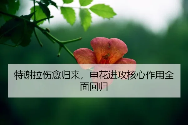 te-xie-la-shang-yu-gui-lai-shen-hua-jin-gong-he-xin-zuo-yong-quan-mian-hui-gui-2-524.jpg