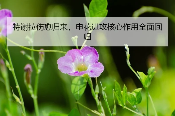 te-xie-la-shang-yu-gui-lai-shen-hua-jin-gong-he-xin-zuo-yong-quan-mian-hui-gui-3-671.jpg
