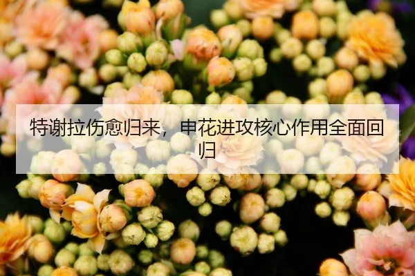 特谢拉伤愈归来，申花进攻核心作用全面回归