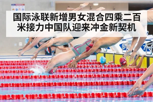 国际泳联新增男女混合四乘二百米接力中国队迎来冲金新契机